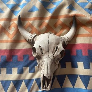 Miniature cow skull wall hanging/brand new without tags